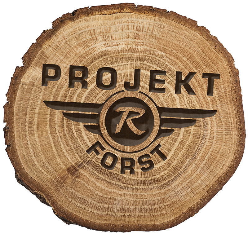 Logo R Forst Holz 800px